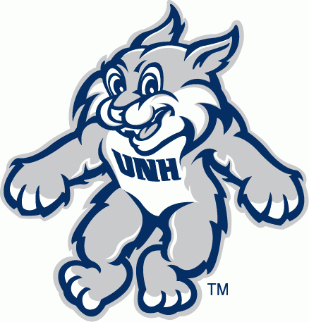 New Hampshire Wildcats 2003-Pres Alternate Logo DIY iron on transfer (heat transfer)